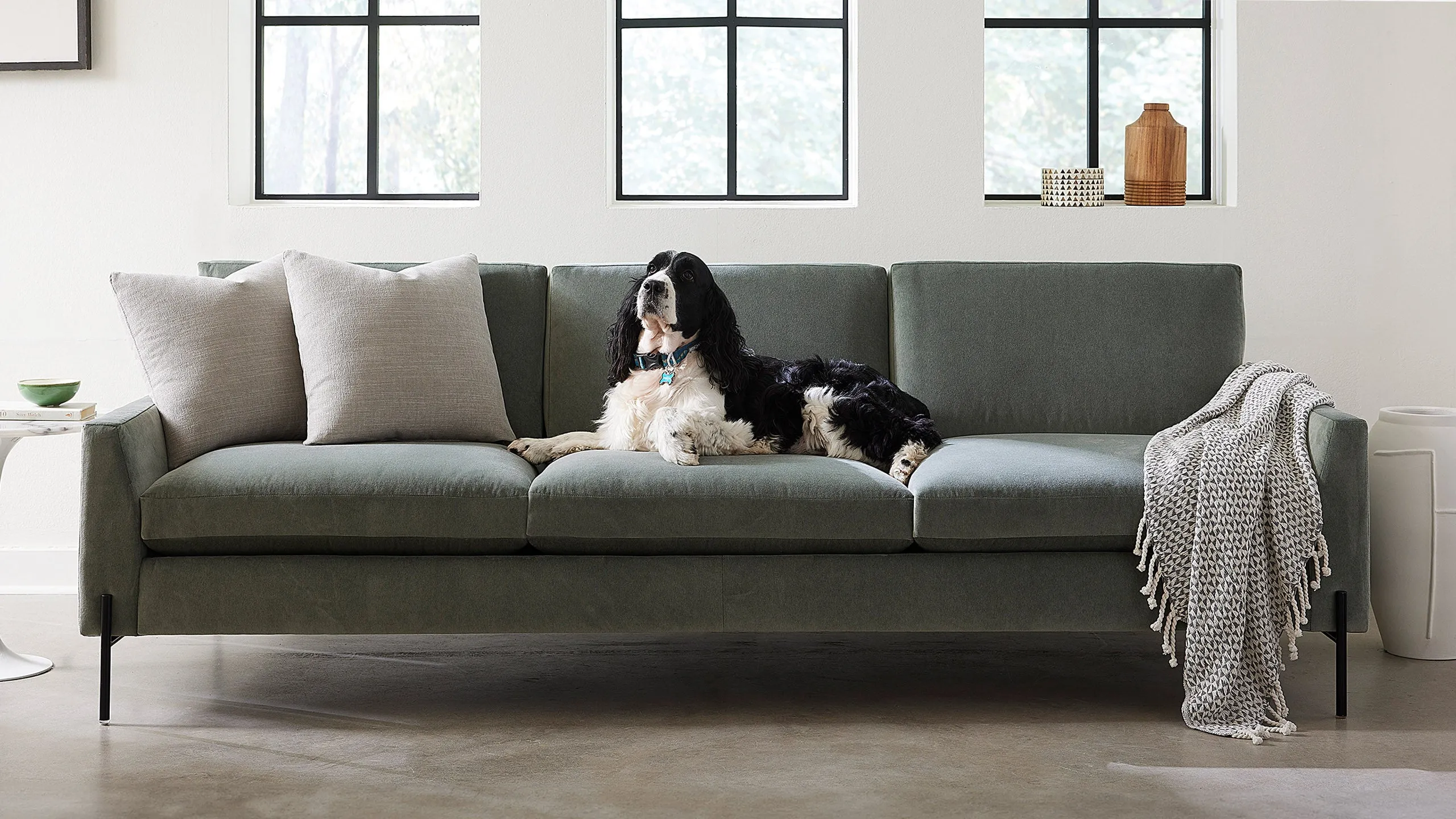 Catwalk Sofa