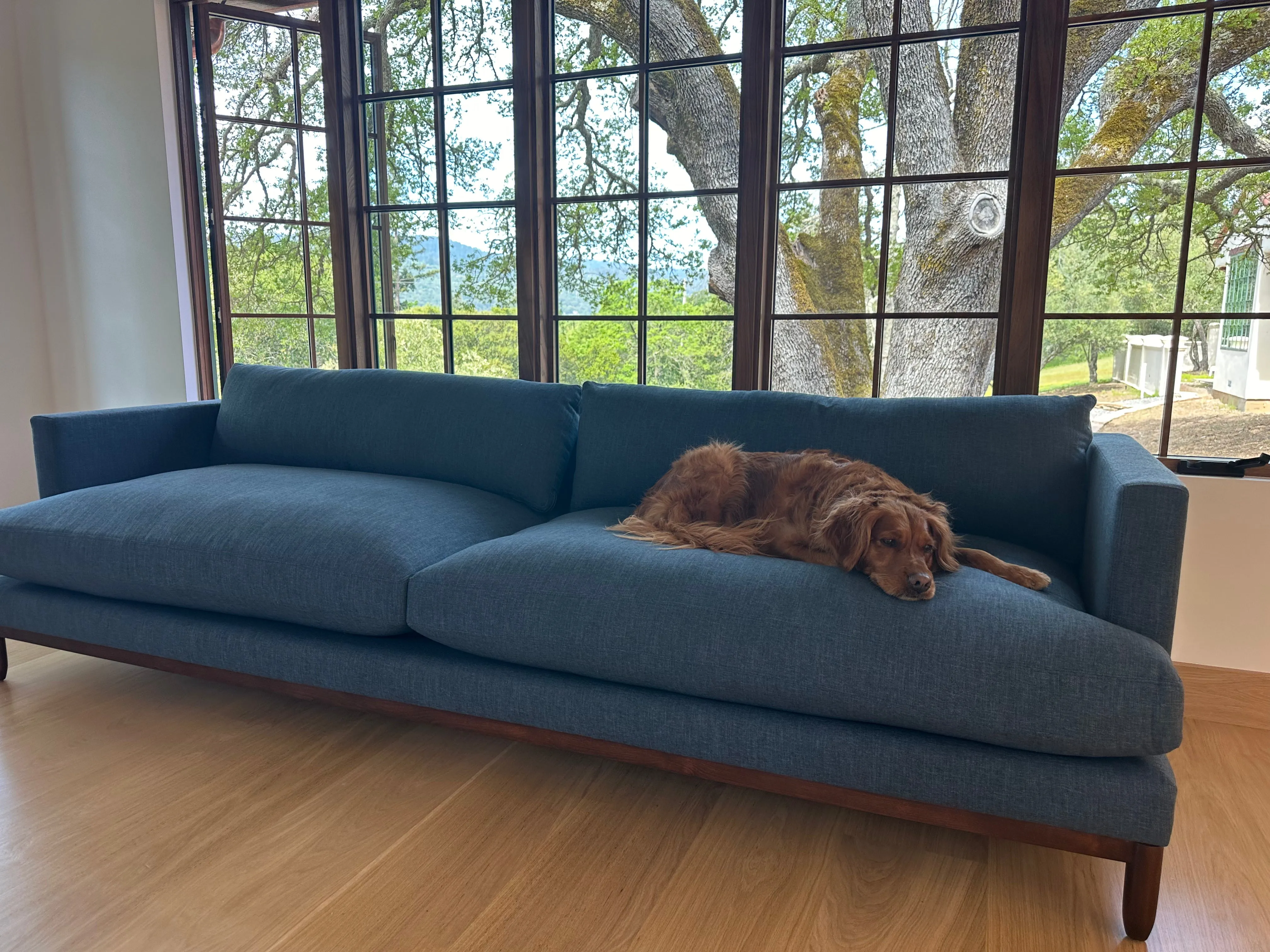 Melrose Sofa Collection